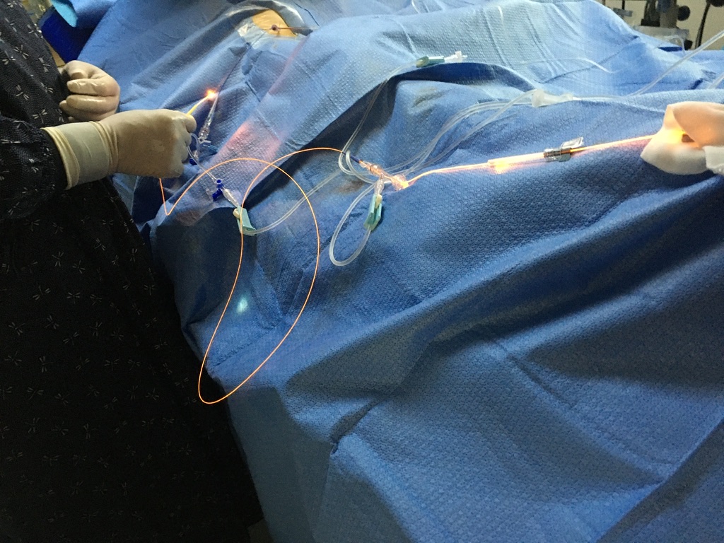 光線力学作用によるがん細胞自滅誘導効果